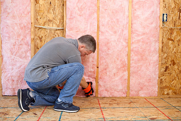 Best Blown-in Insulation in Dentsville, SC