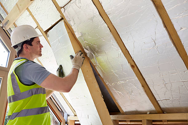 Best Cellulose Insulation in Dentsville, SC